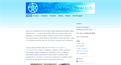 Desktop Screenshot of adbcapoeira.com